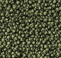 Ковролин Best Wool Nature Vivaldi I-AB Flavoured Olive фото 1 | FLOORDEALER